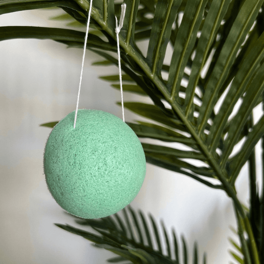 Lot de 2 Éponges Konjac - Pureté Solide - 